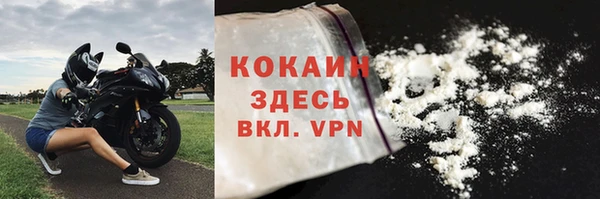 гидра Алексин